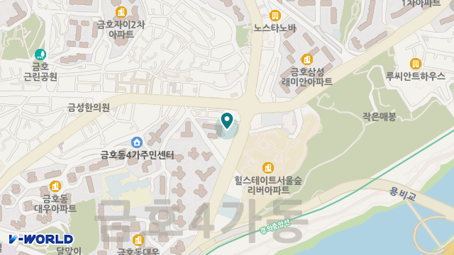 금호노인요양원 위치 지도