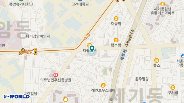 안암고운너싱홈 위치 지도