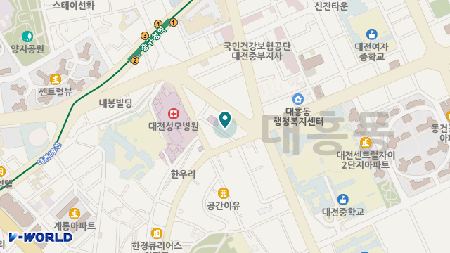 대전성모케어센터 위치 지도