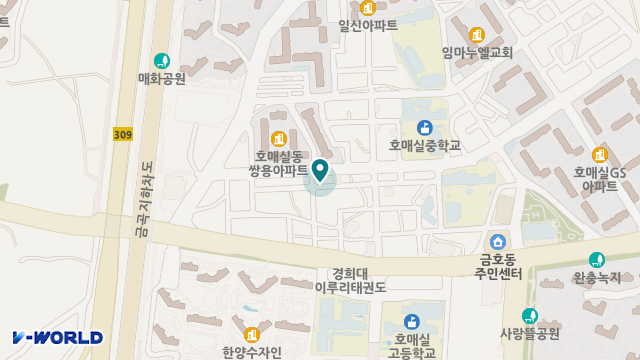 라온팰리스요양원 위치 지도