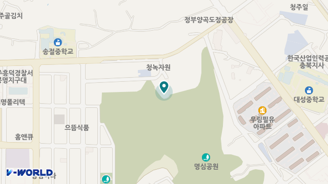 청주카리타스노인요양원 위치 지도