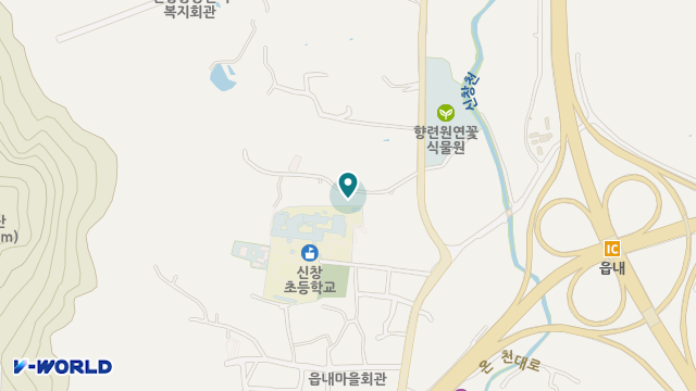 하얀민들레 위치 지도
