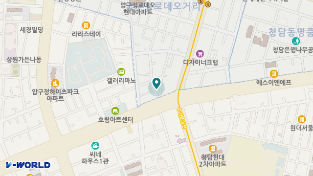 압구정데이케어센터 위치 지도