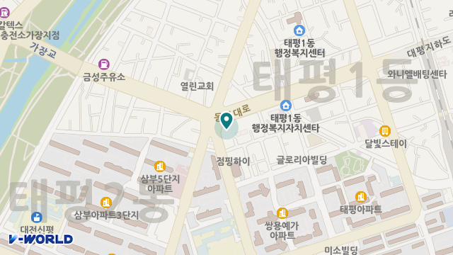 대전 중구 데이케어센터 위치 지도