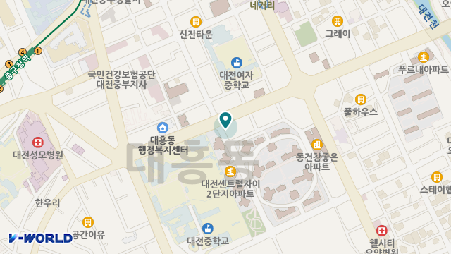 대전청춘실버스쿨 위치 지도