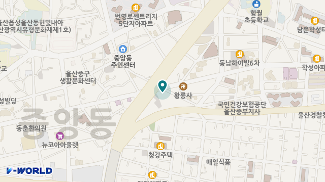 대신의료기상사 위치 지도