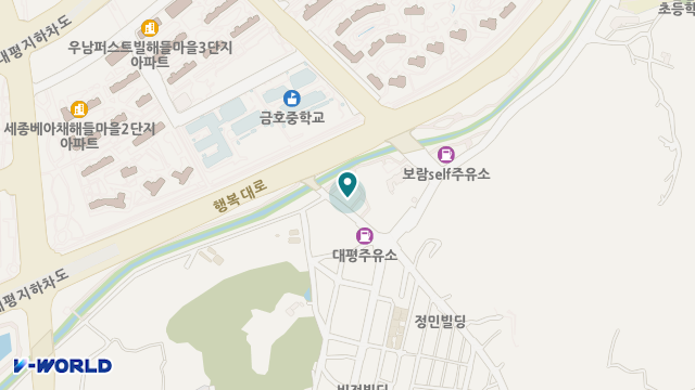 세종가족사랑주간보호센터 위치 지도