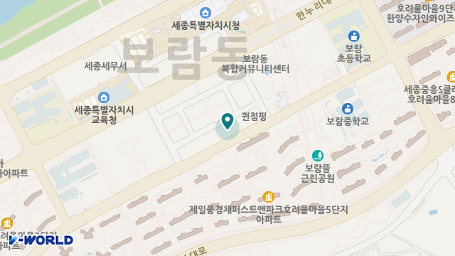 플래티늄세종주야간보호센터 위치 지도