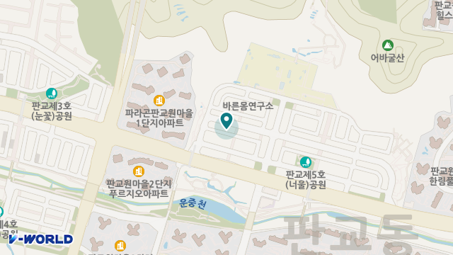 (A)비지팅엔젤스 성남분당판교방문요양지점 위치 지도
