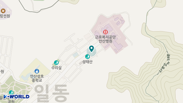 안산메디칼 위치 지도