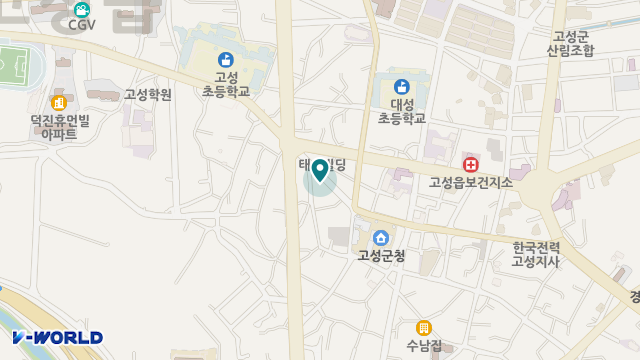 100세고성재가복지센터 위치 지도