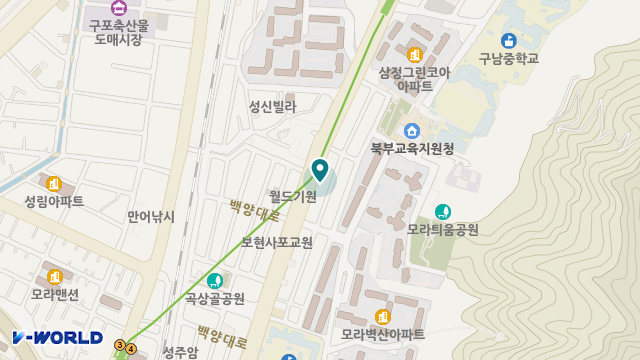 와이지올케어 위치 지도