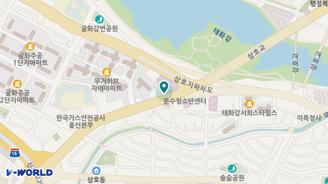 신우메디칼통상 위치 지도