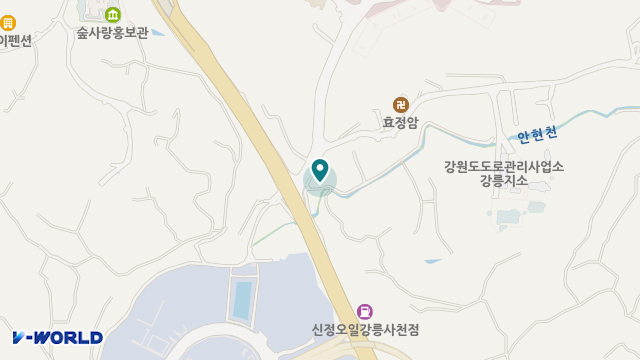 강릉의료기 위치 지도