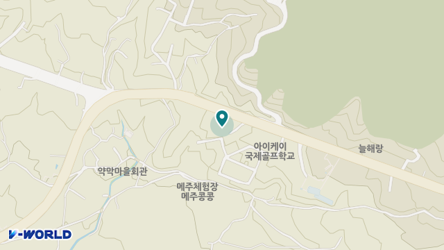 안림노인주간보호센터 위치 지도