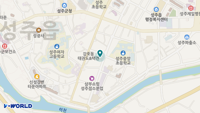 성주사랑재가노인복지센터 위치 지도